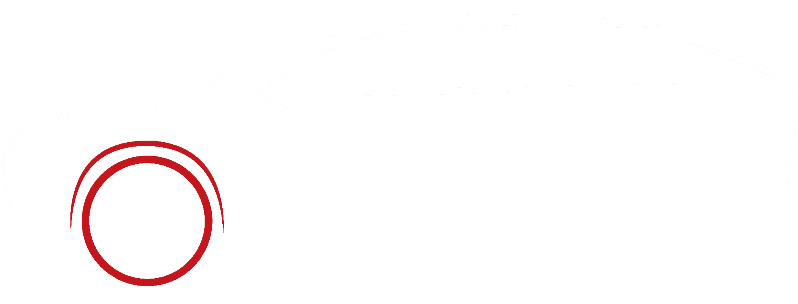 Azzvic International Company Ltd